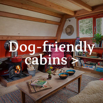Dog-friendly cabin at The Devon Den close to Dartmoor National Park in Devon