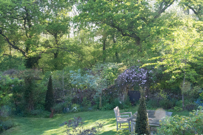 The Oak House cabin garden, Beechwood Cottages, Bath & N.E. Somerset 20