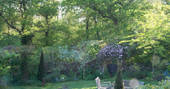 The Oak House cabin garden, Beechwood Cottages, Bath & N.E. Somerset 20