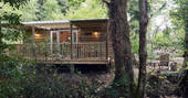 hazel tree cabin chiltern yurt retreat woodland hot tub uk glamping 