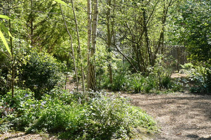 The beautiful woodland garden at Hazel Tree Cabin in Buckinghamshire