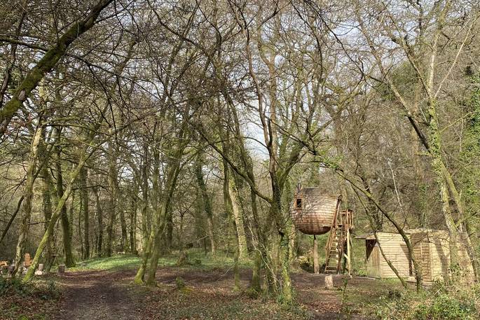 Lost Meadow Treepod treehouse - the woodland, Broom Park Farm, Bodmin, Cornwall