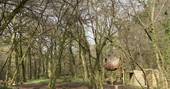 Lost Meadow Treepod treehouse - the woodland, Broom Park Farm, Bodmin, Cornwall