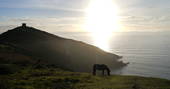 WilderMe geodomes glamping - the sunset and the busy horse, Kingsand, Cornwall