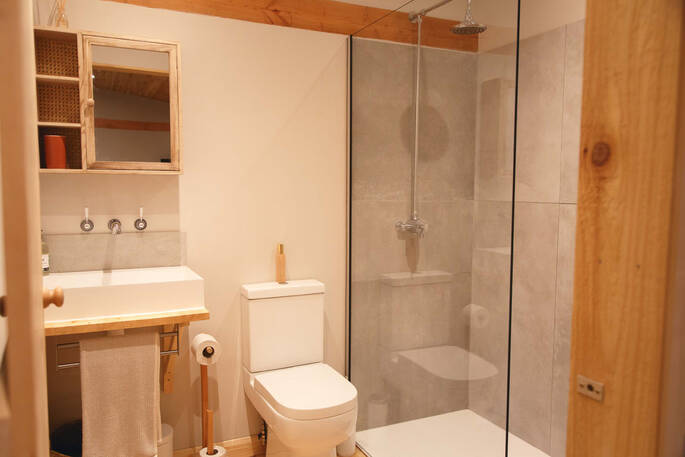 Bathroom with a walk in shower, sink and flushing toilet