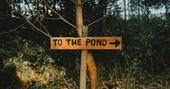 Silva Treehouse 'to the pond' sign, Into the Woods. Penrith, Cumbria