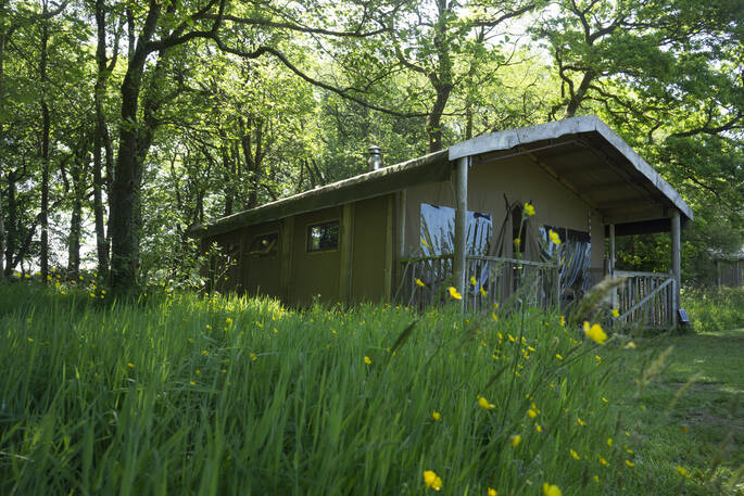 Exterior view of Duckpool safari tent in its leafy surroundings