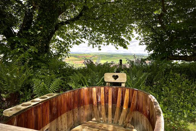 Little Poro shepherds hut - hot tub, South Molton, Devon