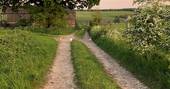 Leonora shepherd's hut walk with dogs and a fluffy cat, Ash Farm, Stourpaine, Dorset