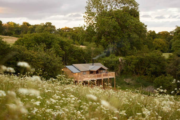 Middle at Middle Lypiatt Glamping wildflowers, Stroud, Gloucestershire
