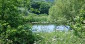 The beautiful pond onsite at Ragmans Lane Farm in Gloucestershire