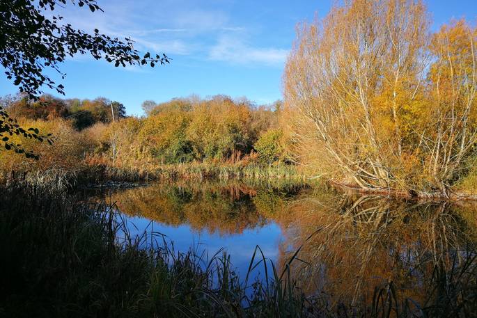 The beautiful pond at Ragmans Lane Farm in autumn