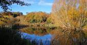 The beautiful pond at Ragmans Lane Farm in autumn