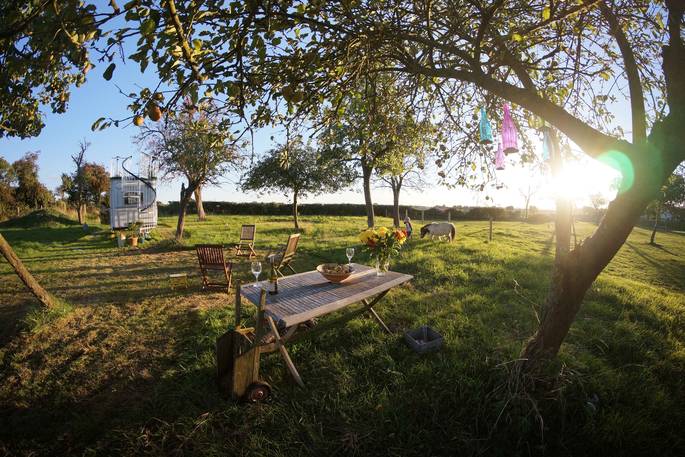 warwick knight the glamping orchard al fresco dining 