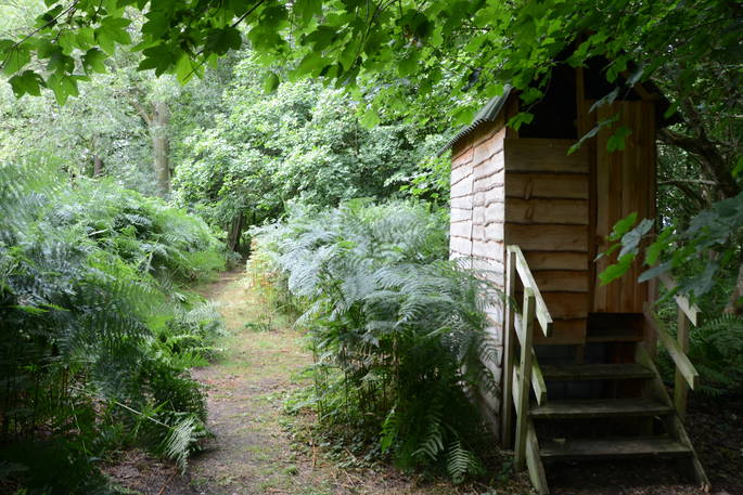 Compost loo for guests of Lima and Posey at Wild Wood Bluebell