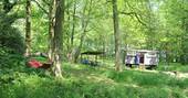Lima Shepherd's Hut and outdoor kitchen in the woods, Wild Wood Bluebell, Gloucestershire