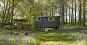 Outdoor camp kitchen next to Lima at Wild Wood Bluebell in Gloucestershire 
