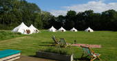 Munday's Meadow lotus belle tents camp - the large group space, Wildwood Bluebell, Donnington, Gloucestershire