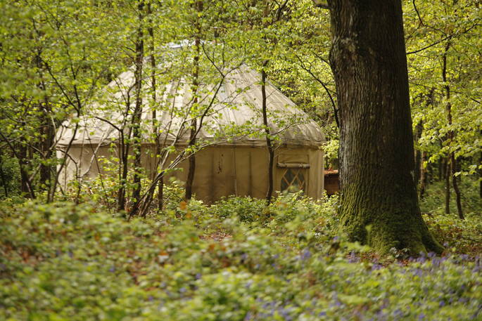 Exterior shot of Birch yurt at Adhurst, Hampshire