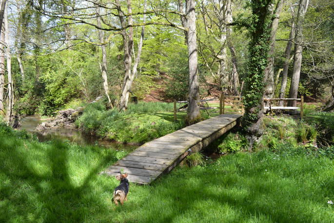 Bridge and stream in the grounds of Adhurst in Hampshire