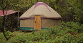 Exterior shot of Chestnut yurt, Adhurst, Hampshire