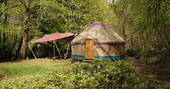 Exterior of Chestnut Yurt surrounded by green forest in rural Hampshire