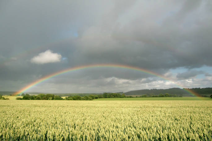 The rainbow at Beacon, Wriggly Tin in Dorset