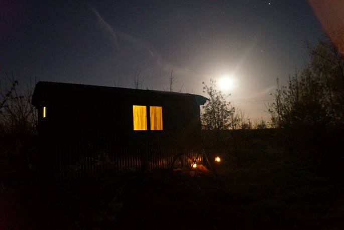 Woodland hut by moonlight