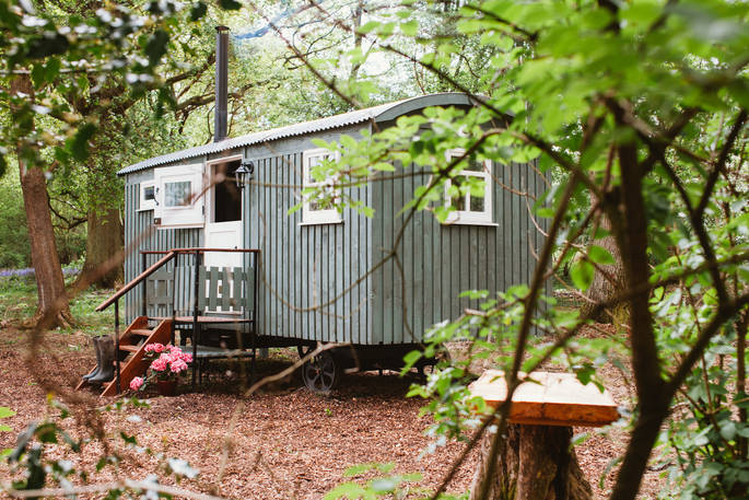 Green foliage surrounds the rustic Sergeant Troy shepherd's hut in the Kent countryside