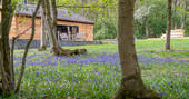 Woodlands and bluebells next to Knotting Hill Barn House in Leicestershire 