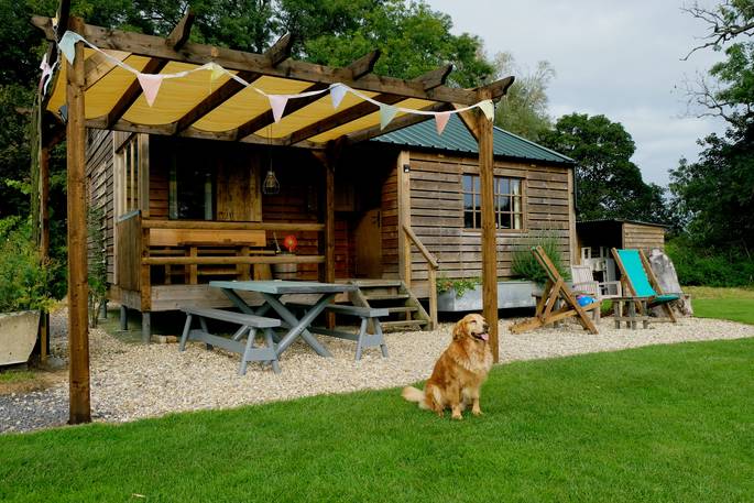 Coach House Cabin glamping - fluffy dog, Castle Cary, Somerset