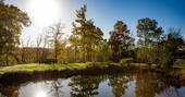 Forest Garden pond, Ashurstwood, East Sussex