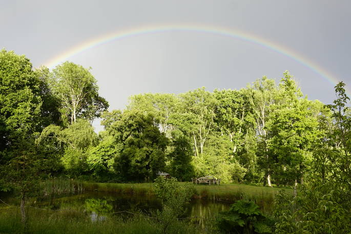 Forest Garden rainbow, Ashurstwood, East Sussex