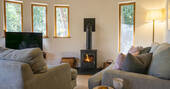 Living area with sofas and a wood burner