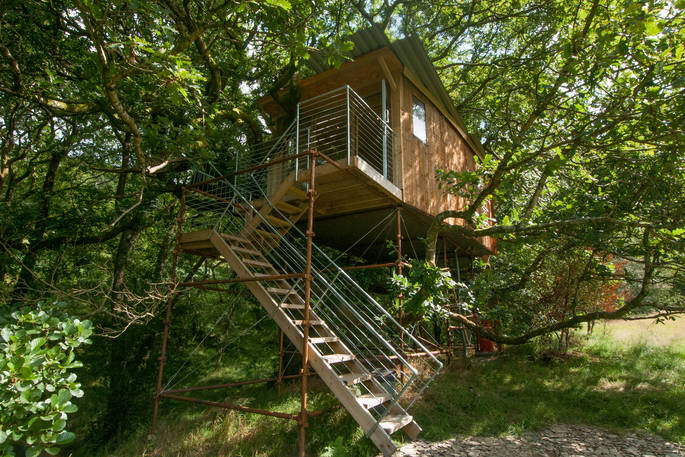 Climb up the steps to your own secluded treehouse at Beudy Banc in Powys 