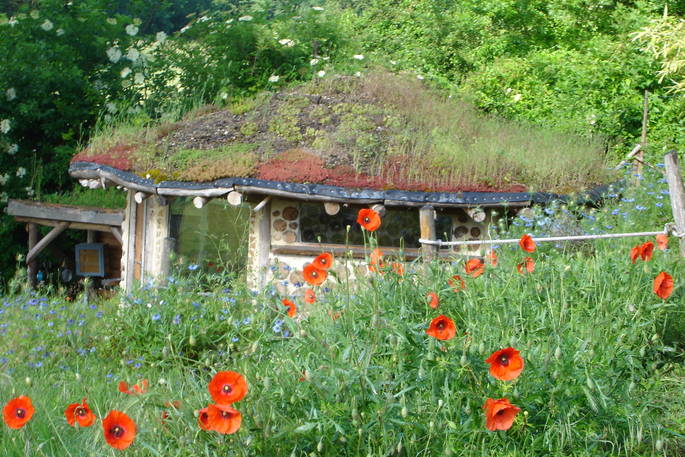 la maison ronde roundhouse exterior poppies