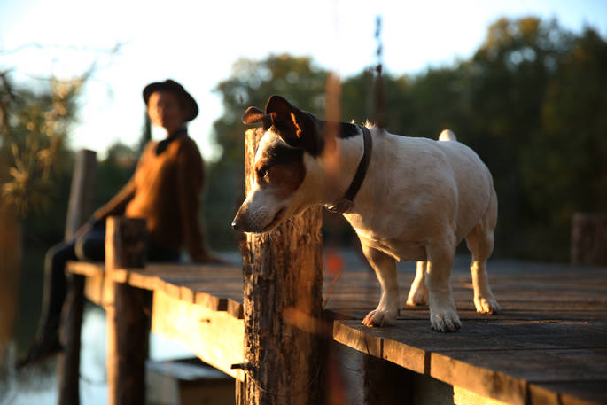 Caru Cabin dog on the decking, Terre et Toi, St Geraud de Corps, Dordogne, France 13