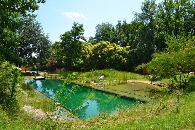 Pool from Meadow
