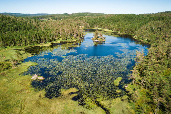 Arial view of Treetop Fiddan in the middle of the lake surrounded by nature in Norway 