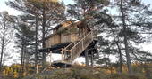 Exterior view of the tree house located on a platform between 3 old pine trees in Norway 