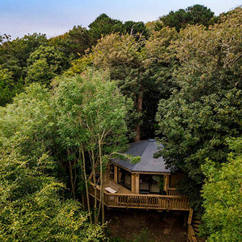 The Den Treehouse at Pickwell Manor