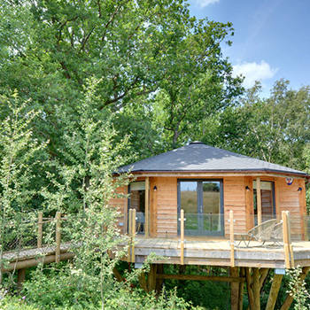 The Oakey Koakey Treehouse, East Sussex
