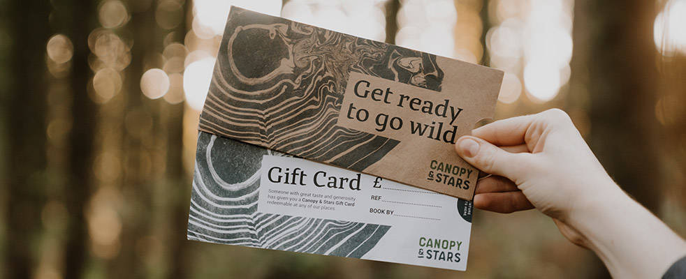 Canopy and Stars Gift Card