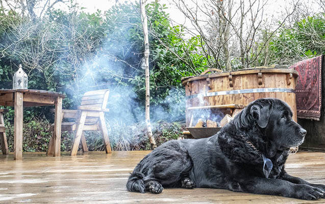 Dog friendly places with hot tubs