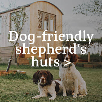 Dog-friendly shepherd's hut
