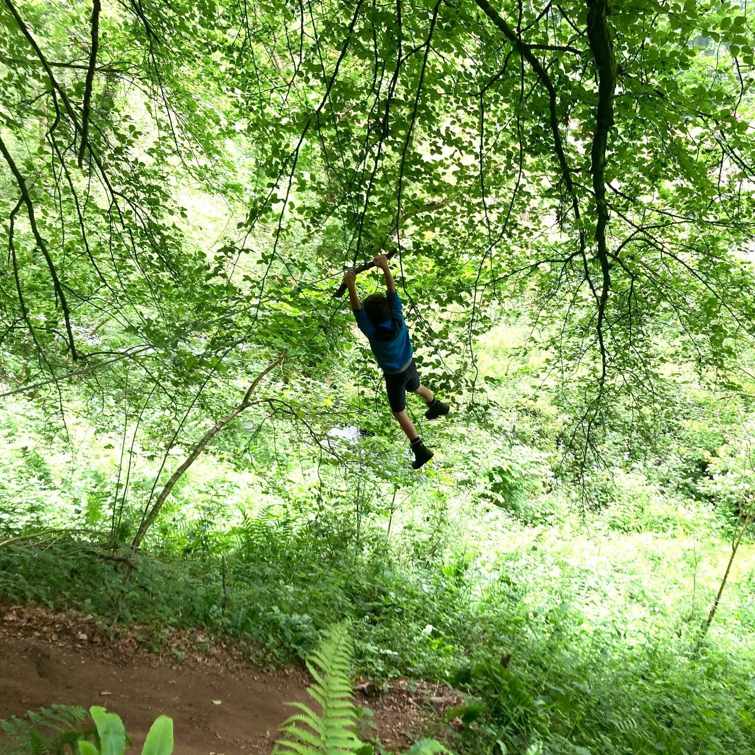 A boy flying on a tree swing