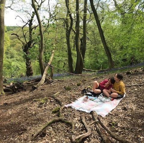 Two boys sitting on a picnic blanket in a bluebell wood