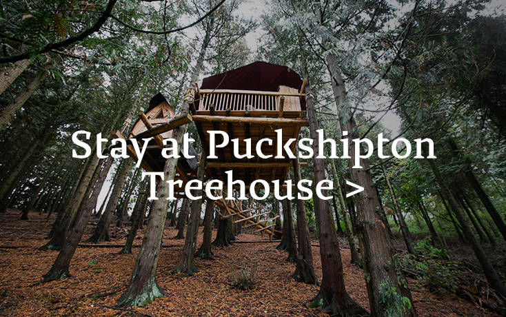Puckshipton Treehouse