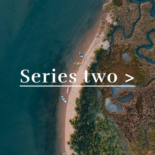 Series-two-button