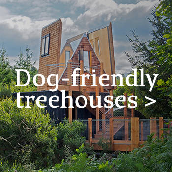 Sky Den Dog-friendly treehouse at Calvert Kielder in Northumberland 